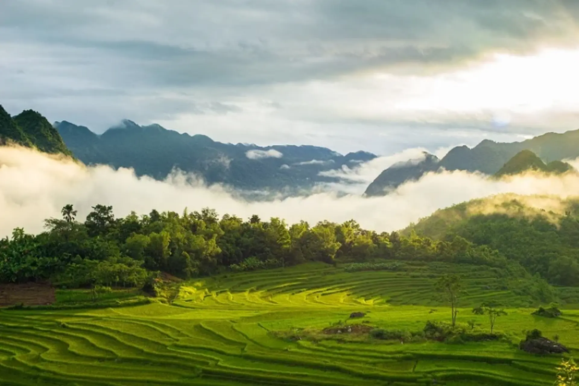 Vietnam Signature Journey North to South – 10 Days Premium Private Tour Led by Women Vietnam Signature Journey North to South – 10 Days Premium Private Tour Led by Women
