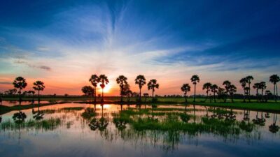 Hoi An Heritage, Countryside & Beach Retreat – 7 Days | Premium Private Tour Led By Women By Women