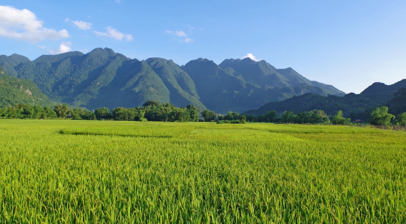 Vietnam Signature Journey North to South – 10 Days Premium Private Tour Led by Women Vietnam Signature Journey North to South – 10 Days Premium Private Tour Led by Women