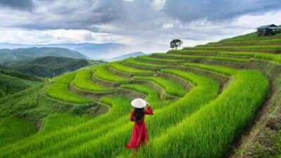 Vietnam Family Holiday – 13 Days Premium Private Tour Led by Women Vietnam Family Holiday – 13 Days Premium Private Tour Led by Women