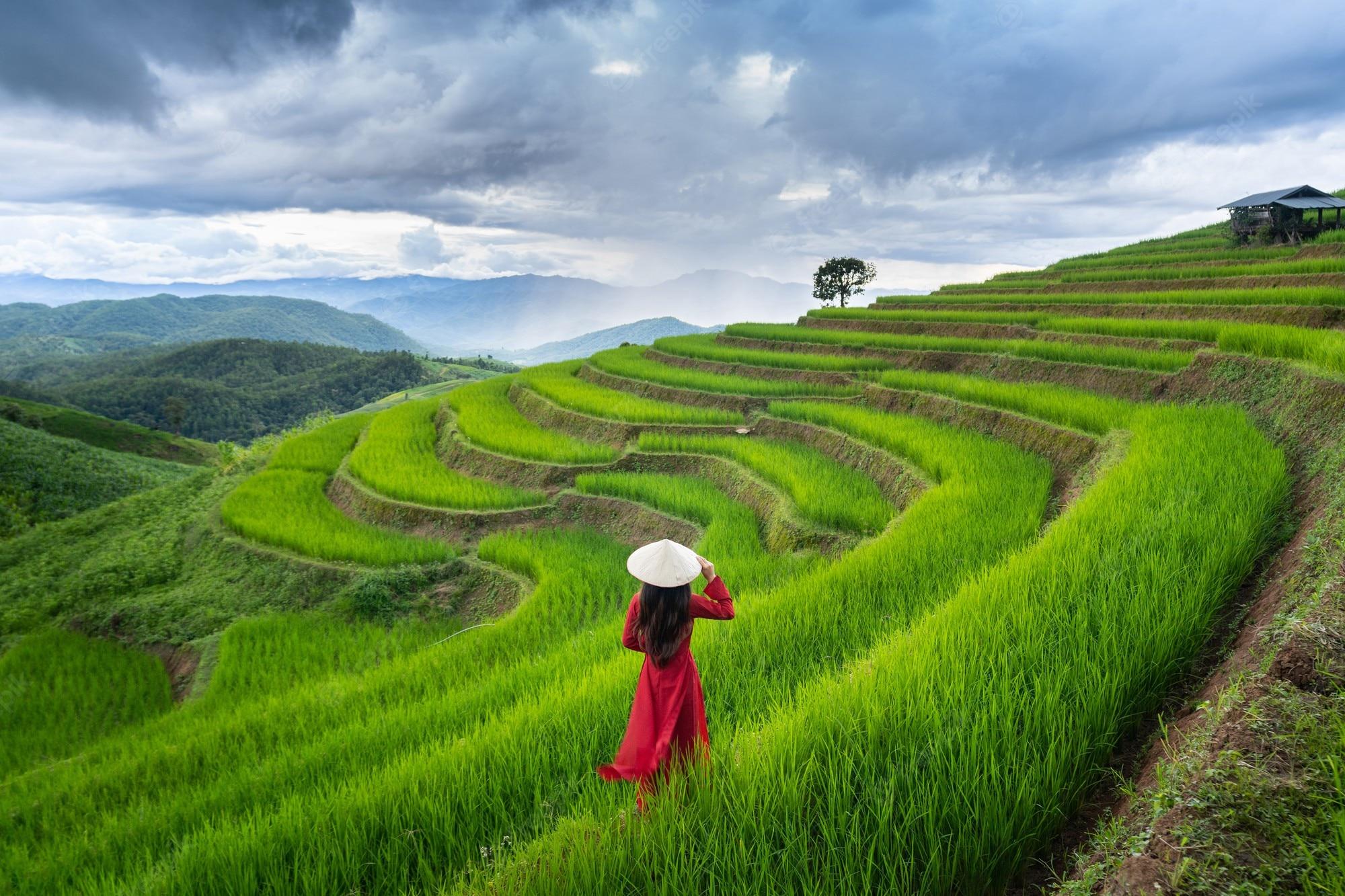 Vietnam Family Holiday – 13 Days Premium Private Tour Led by Women Vietnam Family Holiday – 13 Days Premium Private Tour Led by Women