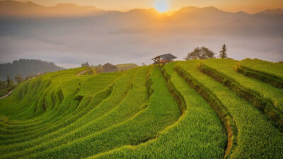 Ha Giang Jeep Adventure 4 Days – Premium Private Jeep Tours Led by Women Ha Giang Jeep Adventure 4 Days – Premium Private Jeep Tours Led by Women