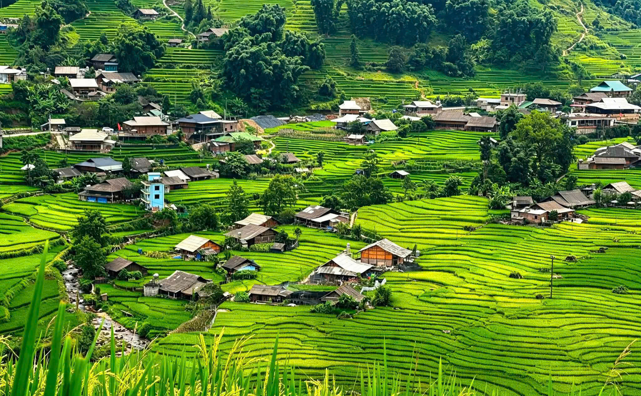 Northern Vietnam Signature Journey – 6 Days | Premium Private Tour Led By Women Northern Vietnam Signature Journey – 6 Days | Premium Private Tour Led By Women