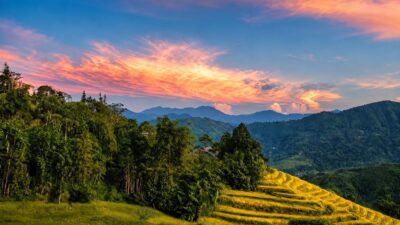 Mai Chau, Pu Luong & Ninh Binh Explorer – 4 Days | Premium Private Tour Led By Women