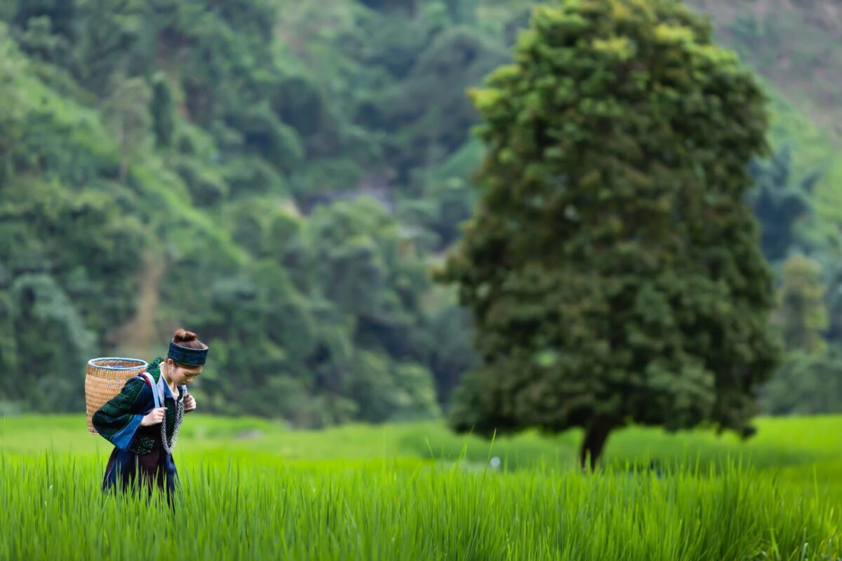 Ha Giang Jeep Adventure 4 Days – Premium Private Jeep Tours Led by Women Ha Giang Jeep Adventure 4 Days – Premium Private Jeep Tours Led by Women