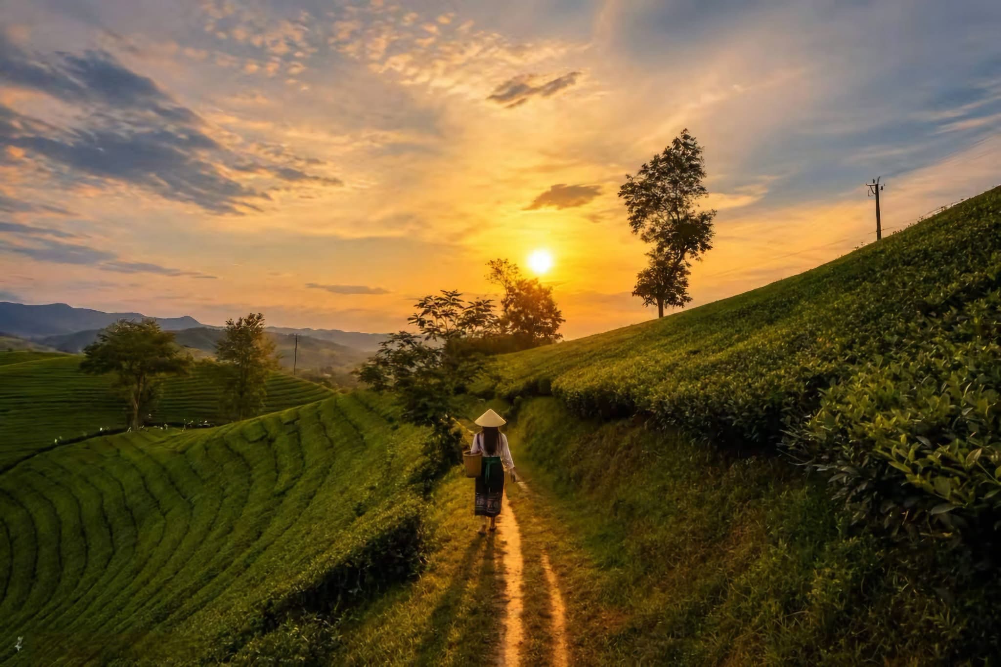 Sapa Mountain Trekking Escape – 2 Days | Premium Private Tour Led By Women Sapa Mountain Trekking Escape – 2 Days | Premium Private Tour Led By Women