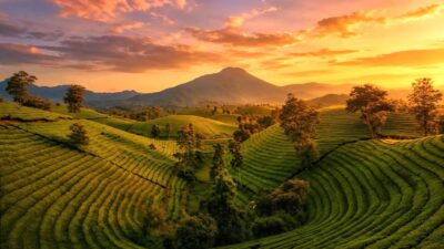 Mai Chau, Pu Luong & Ninh Binh Explorer – 4 Days | Premium Private Tour Led By Women