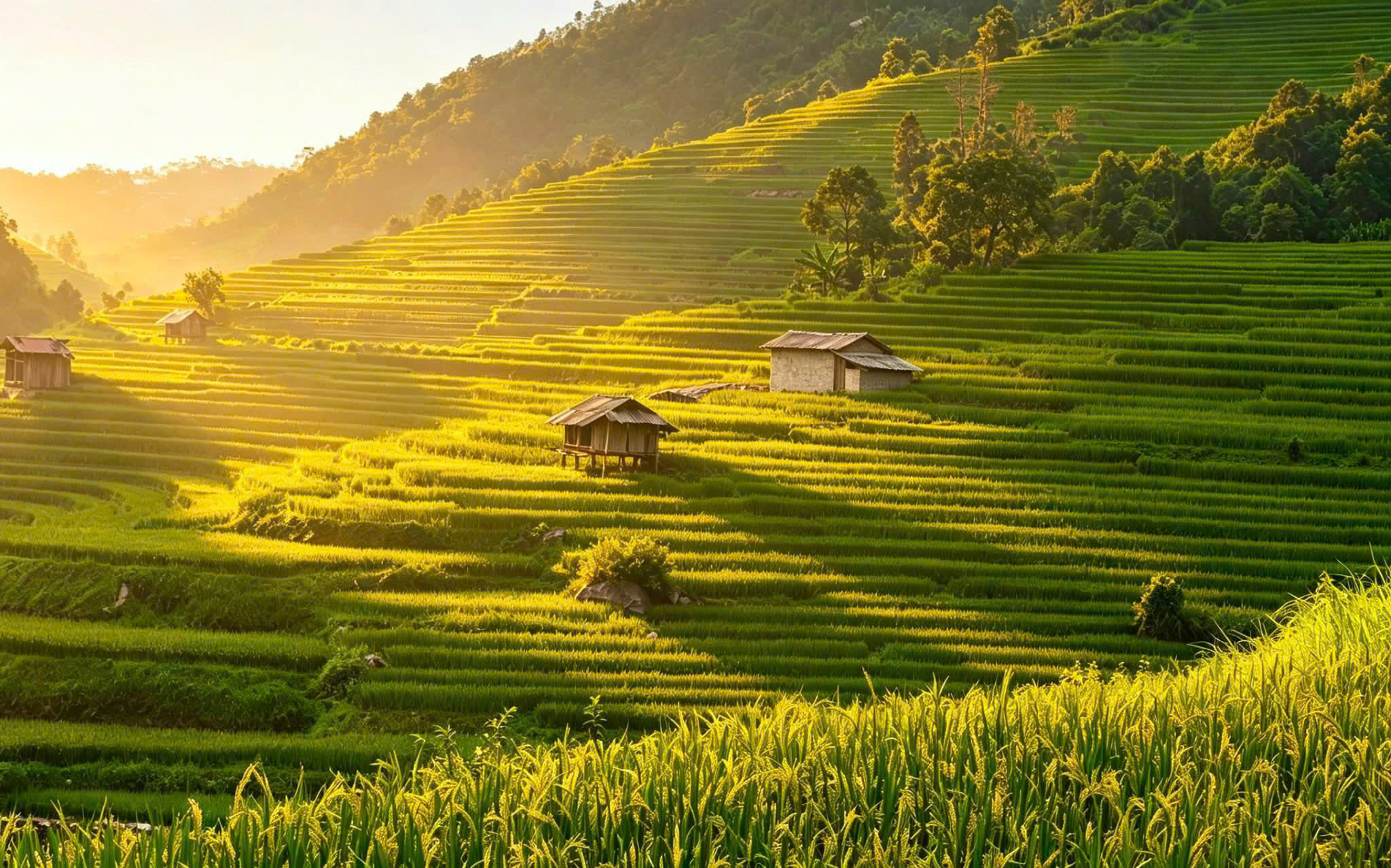 Hanoi, Halong Bay & Mai Chau Discovery – 4 Days | Premium Private Tour Led By Women Hanoi, Halong Bay & Mai Chau Discovery – 4 Days | Premium Private Tour Led By Women