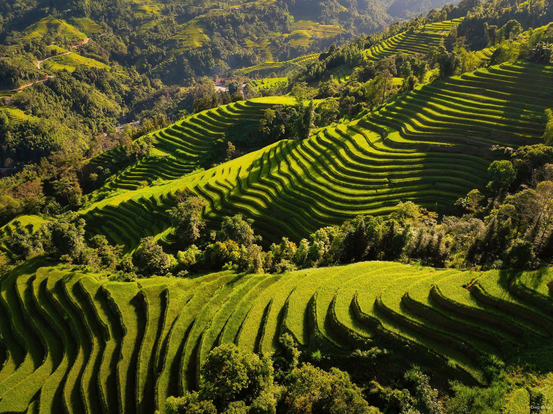 Ha Giang Jeep Adventure 4 Days – Premium Private Jeep Tours Led by Women Ha Giang Jeep Adventure 4 Days – Premium Private Jeep Tours Led by Women