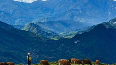 Northern Vietnam Hidden Gems Explorer – 5 Days | Premium Private Tour Led By Women Northern Vietnam Hidden Gems Explorer – 5 Days | Premium Private Tour Led By Women