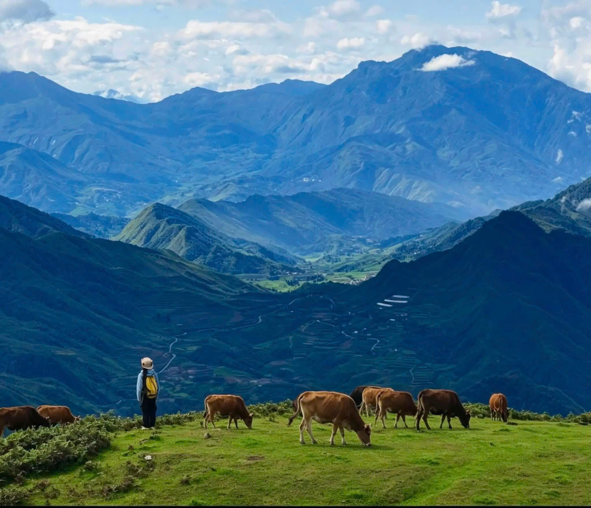 Northern Vietnam Hidden Gems Explorer – 5 Days | Premium Private Tour Led By Women Northern Vietnam Hidden Gems Explorer – 5 Days | Premium Private Tour Led By Women