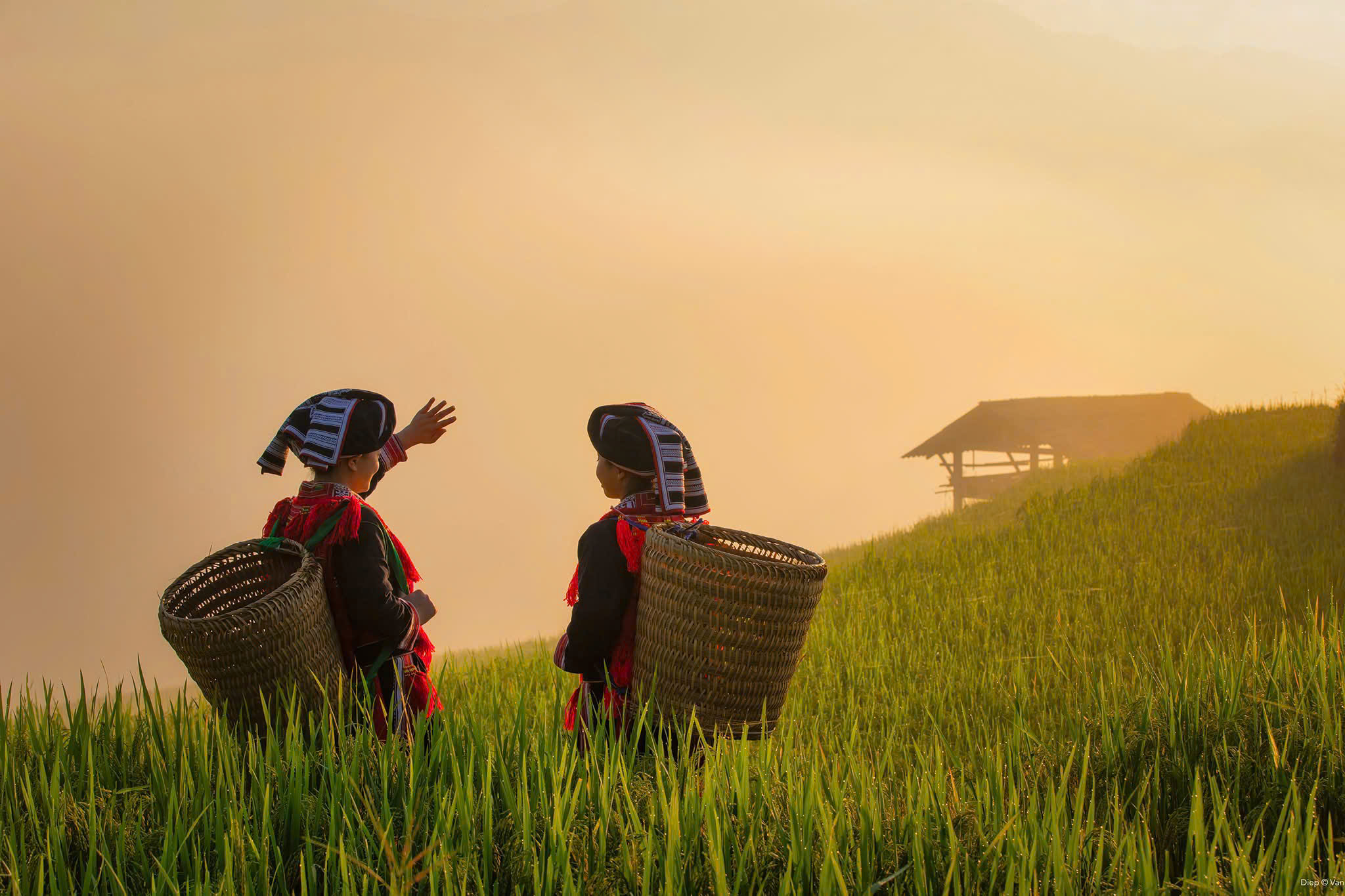 Ha Giang Jeep Adventure 4 Days – Premium Private Jeep Tours Led by Women Ha Giang Jeep Adventure 4 Days – Premium Private Jeep Tours Led by Women