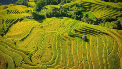 Ha Giang Jeep Adventure 4 Days – Premium Private Jeep Tours Led by Women