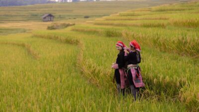 Ha Giang Jeep Adventure 4 Days – Premium Private Jeep Tours Led by Women